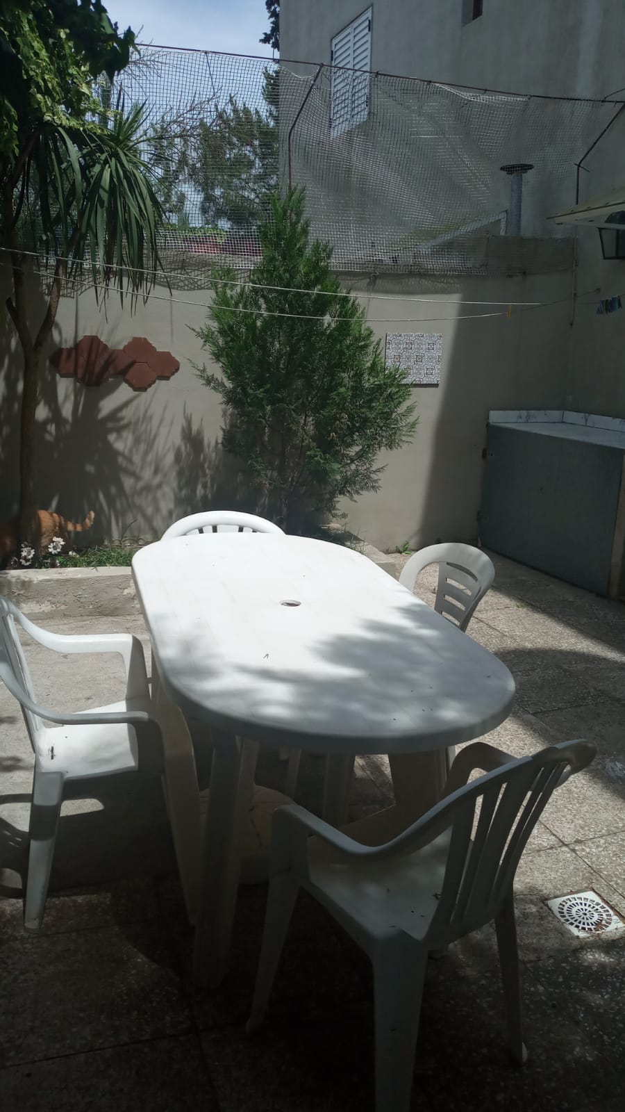 Descripción de mi primera foto