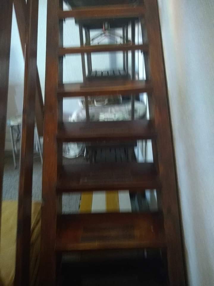 Descripción de mi segunda foto
