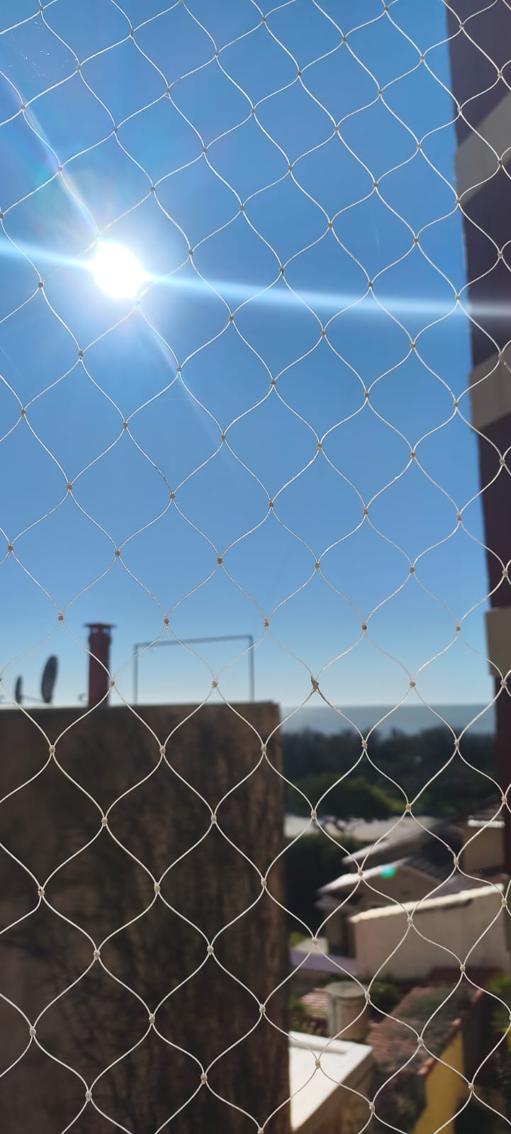 Descripción de mi tercera foto